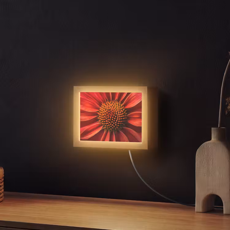 Lightbox - Wandlamp - Close up - Bloem- Rood — 2