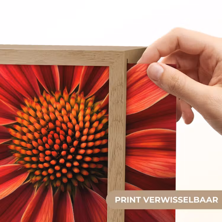 Lightbox - Wandlamp - Close up - Bloem- Rood — 3