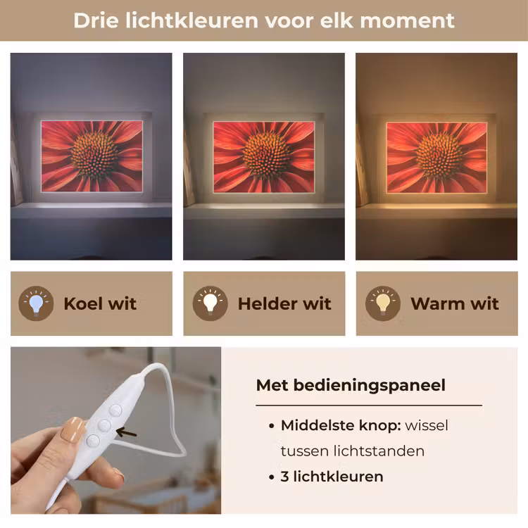 Lightbox - Wandlamp - Close up - Bloem- Rood — 5