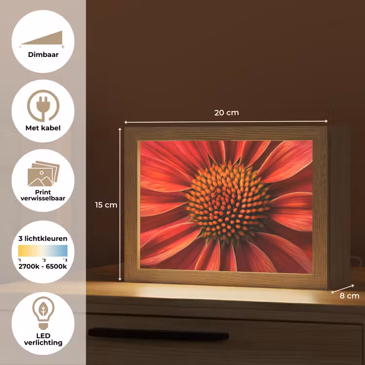 Lightbox - Wandlamp - Close up - Bloem- Rood — 7