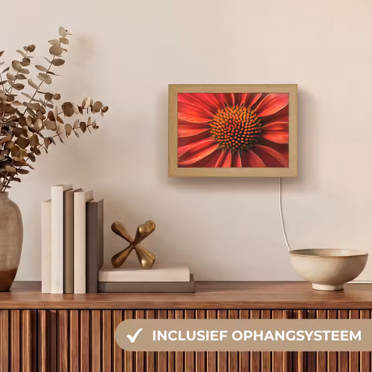 Lightbox - Wandlamp - Close up - Bloem- Rood — 8