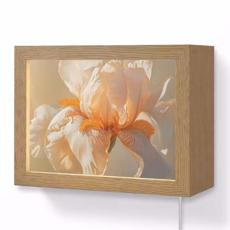 Lightbox - Wandlamp - Iris Close-up Beige