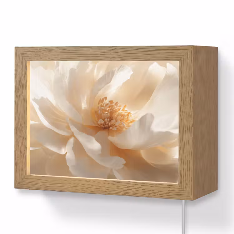 Lightbox - Wandlamp - Crème Bloem Close-up