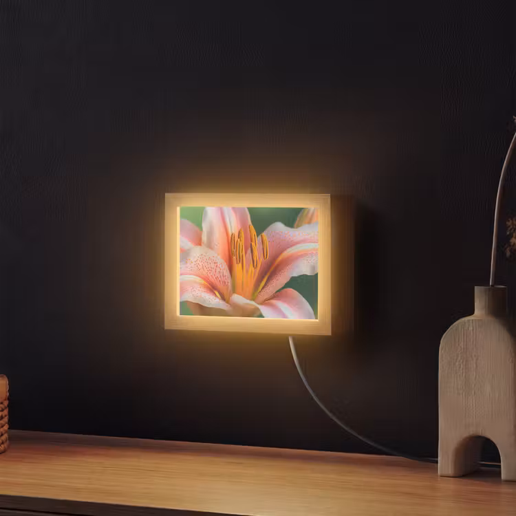 Lightbox - Wandlamp - Roze Lelie Close-up — 2