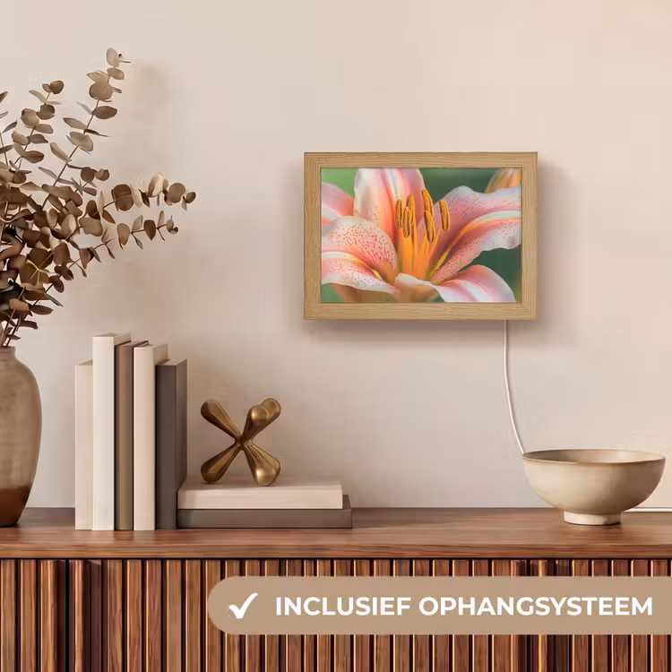 Lightbox - Wandlamp - Roze Lelie Close-up — 8