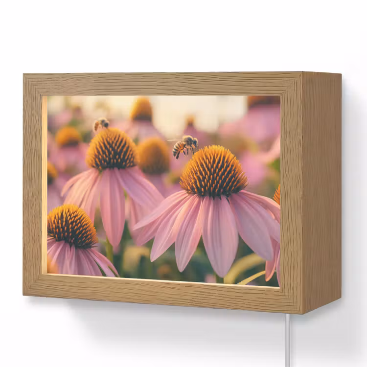 Lightbox - Wandlamp - Roze Bloemen met Bijen