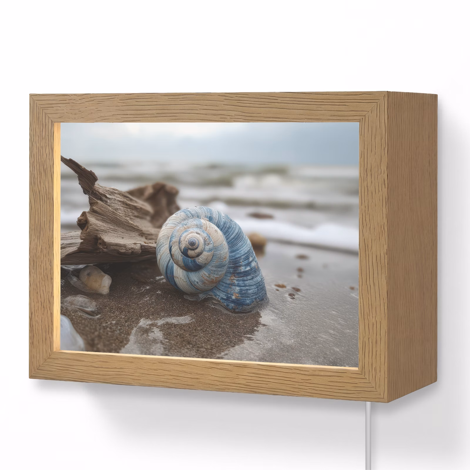 Lightbox - Wandlamp - Schelp - Strand - Blauw - Zee — 1