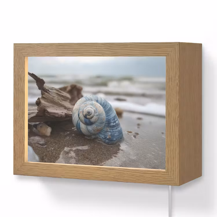 Lightbox - Wandlamp - Schelp - Strand - Blauw - Zee — 1