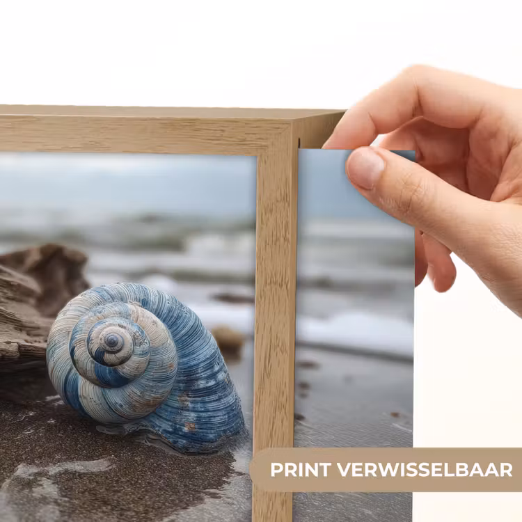 Lightbox - Wandlamp - Schelp - Strand - Blauw - Zee — 3