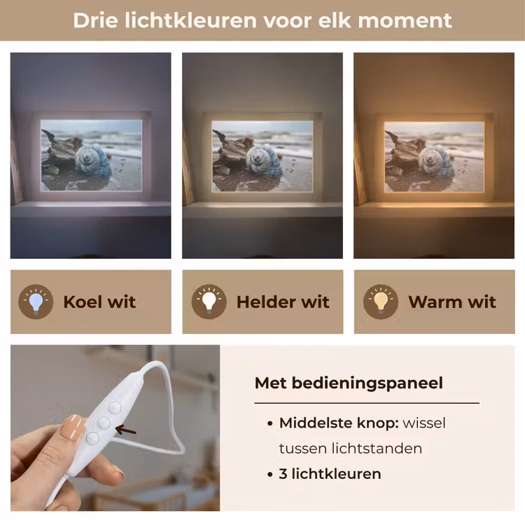 Lightbox - Wandlamp - Schelp - Strand - Blauw - Zee — 5