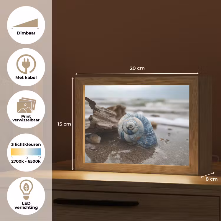 Lightbox - Wandlamp - Schelp - Strand - Blauw - Zee — 7