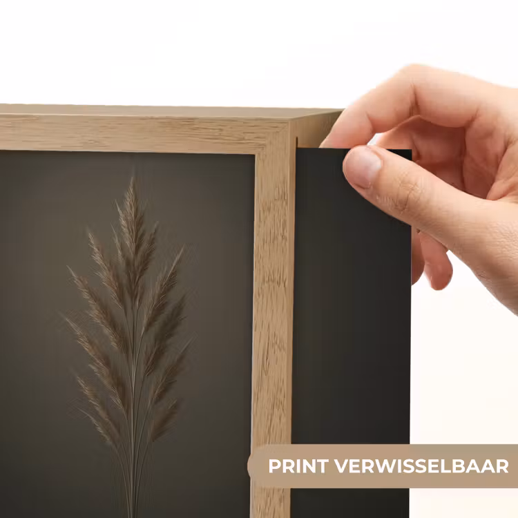Lightbox - Wandlamp - Pampasgras Pluim Bruin — 3