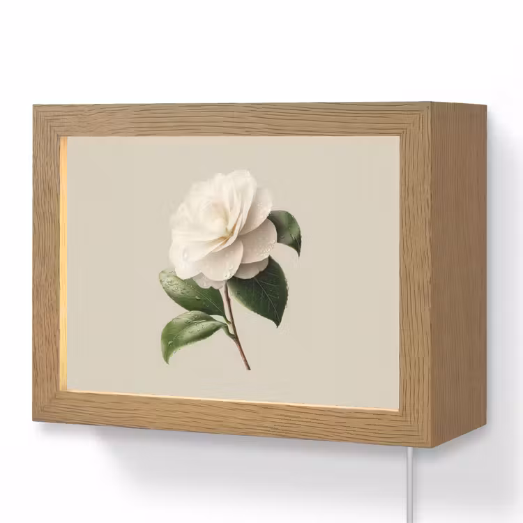 Lightbox - Wandlamp - Witte Camelia met Waterdruppels