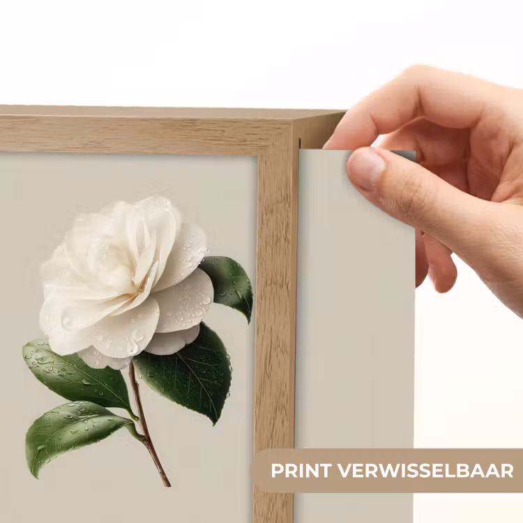 Lightbox - Wandlamp - Witte Camelia met Waterdruppels — 3