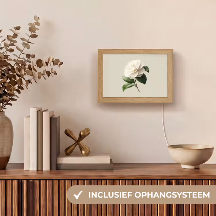 Lightbox - Wandlamp - Witte Camelia met Waterdruppels — 8