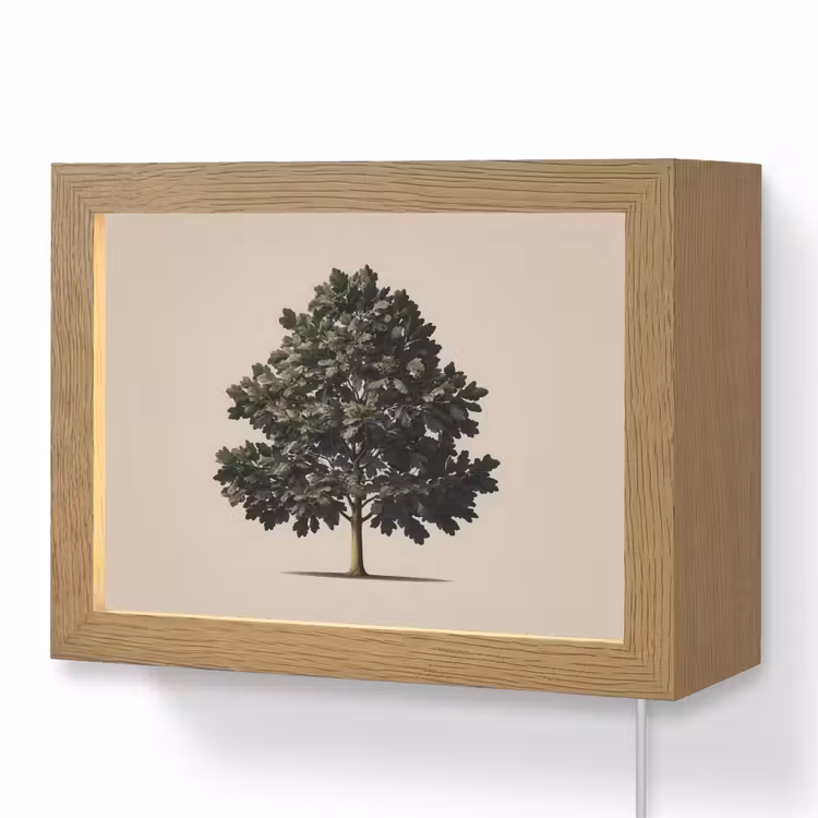 Lightbox - Wandlamp - Eikenboom Beige