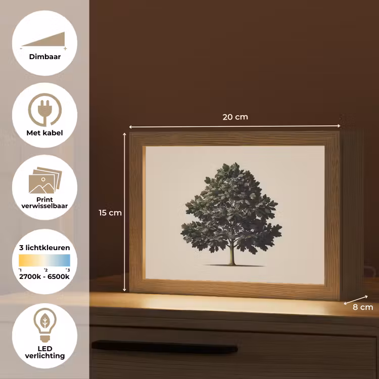 Lightbox - Wandlamp - Eikenboom Beige — 7