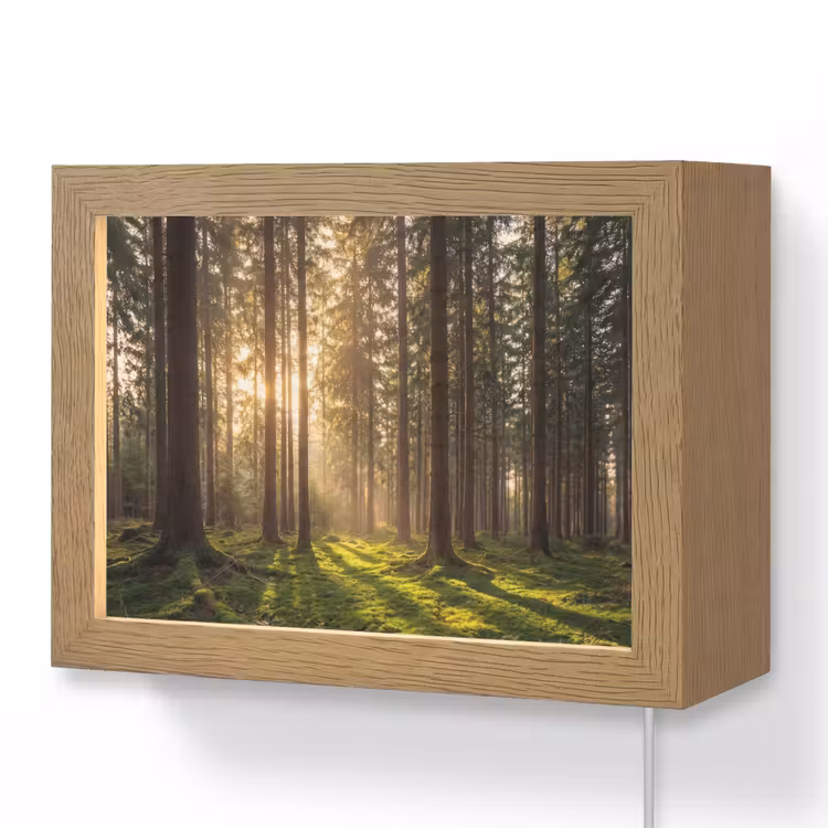 Lightbox - Wandlamp - Bos - Gras - Zonlicht