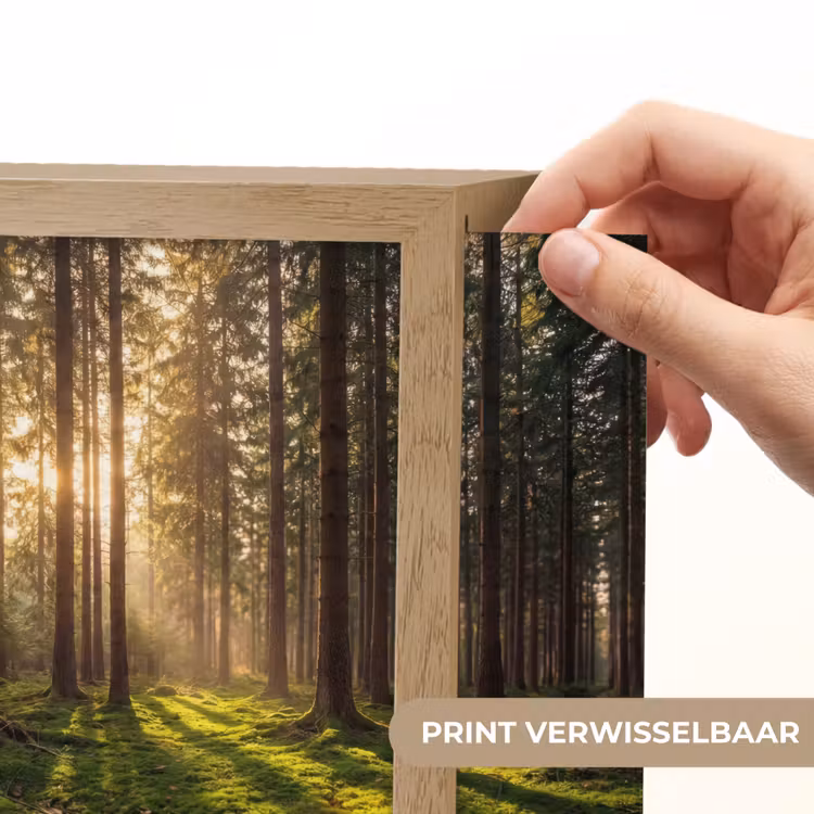 Lightbox - Wandlamp - Bos Zonlicht Mos — 3