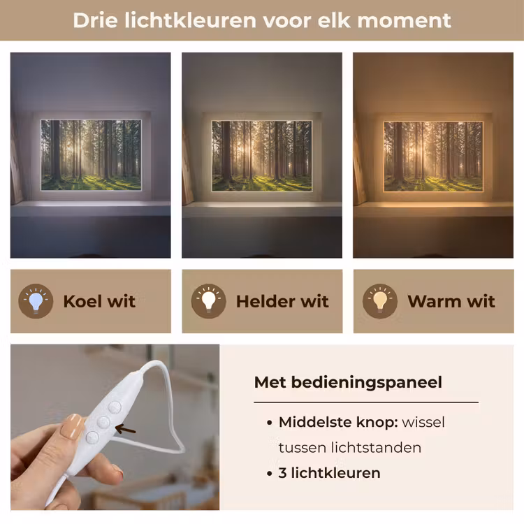 Lightbox - Wandlamp - Bos Zonlicht Mos — 5