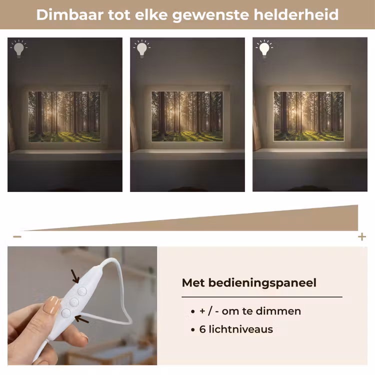 Lightbox - Wandlamp - Bos Zonlicht Mos — 6