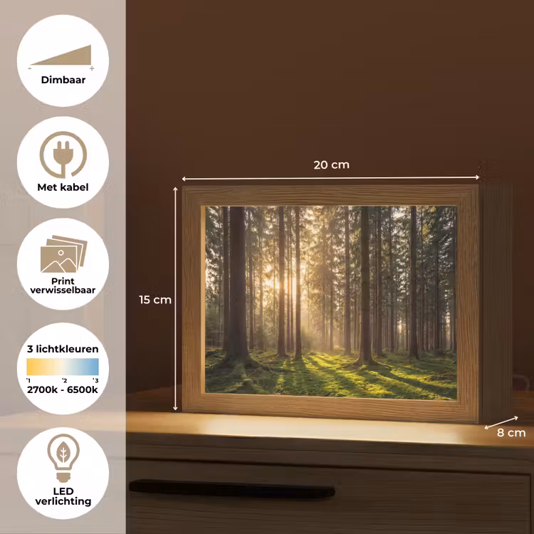 Lightbox - Wandlamp - Bos Zonlicht Mos — 7
