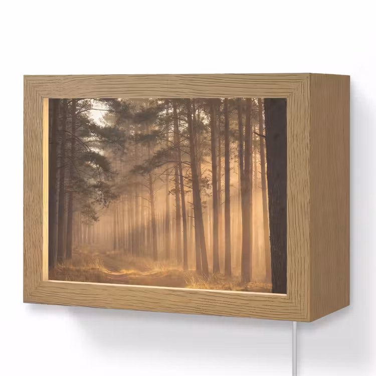 Lightbox - Wandlamp - Bos - Mist - Zonlicht