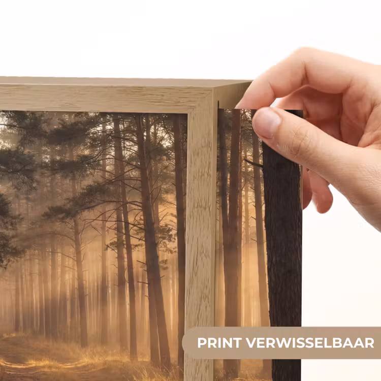 Lightbox - Wandlamp - Dennenbos met Zonnestralen in Mist — 3