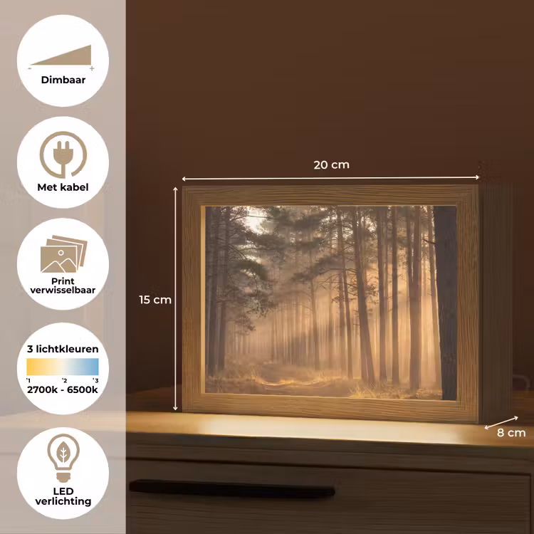 Lightbox - Wandlamp - Dennenbos met Zonnestralen in Mist — 7