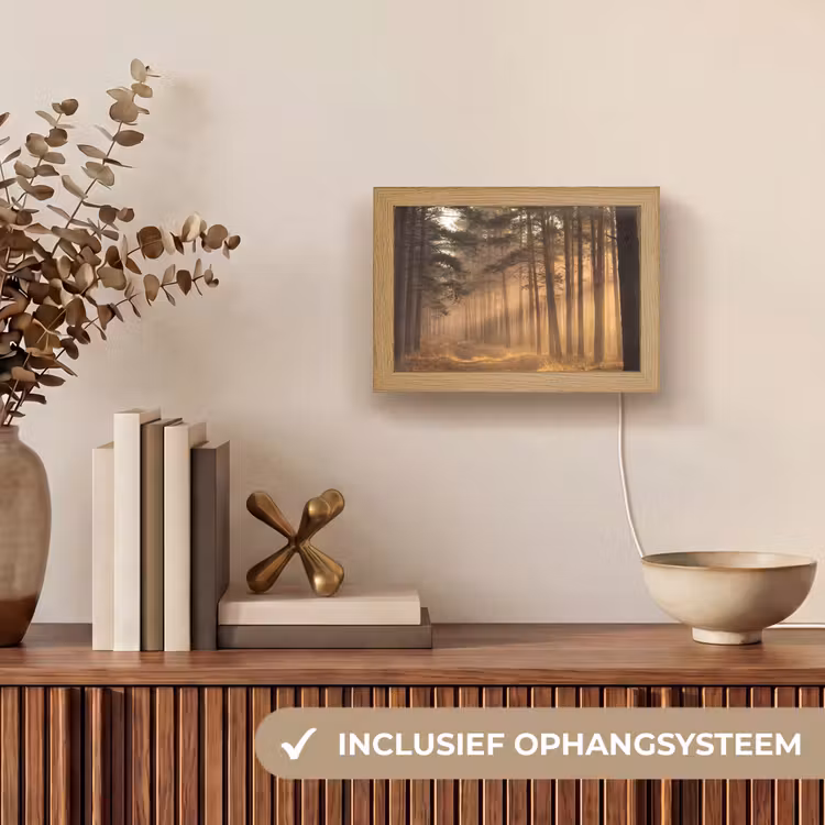 Lightbox - Wandlamp - Dennenbos met Zonnestralen in Mist — 8