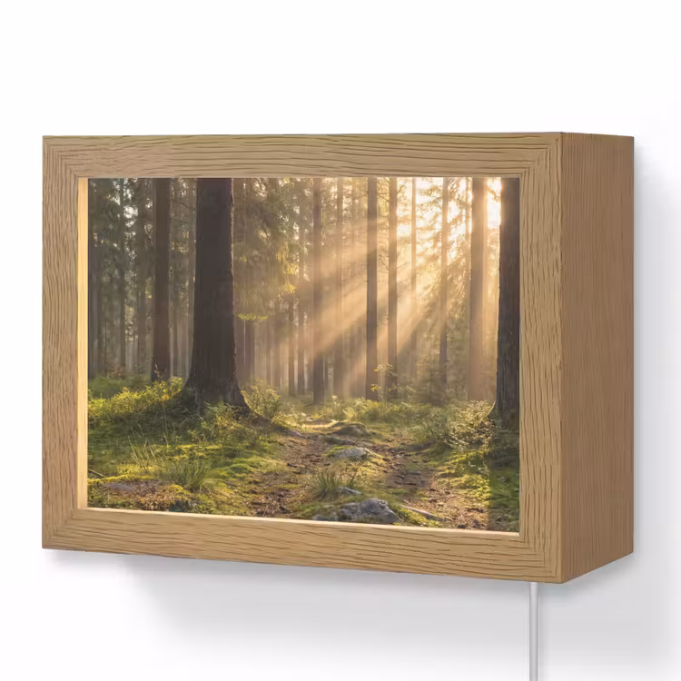 Lightbox - Wandlamp - Bos - Zonlicht - Gras — 1