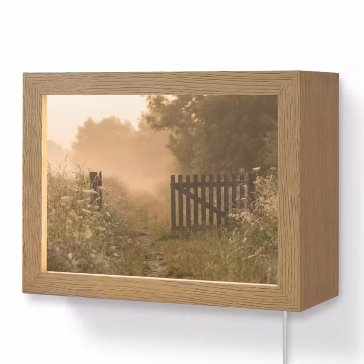 Lightbox - Wandlamp - Hek - Natuur - Mist - Veld