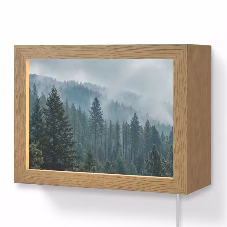 Lightbox - Wandlamp - Naaldwoud - Bergen - Mist