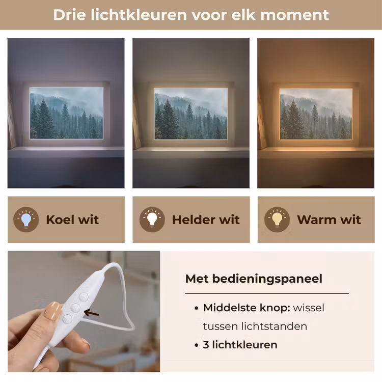 Lightbox - Wandlamp - Naaldwoud - Bergen - Mist — 5