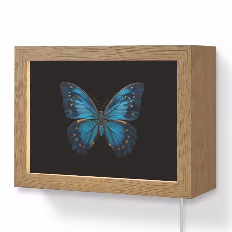 Lightbox - Wandlamp - Vlinder - Blauw - Contrast — 1