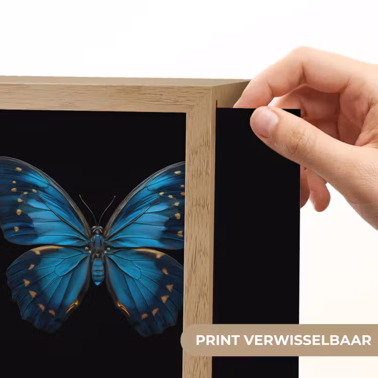 Lightbox - Wandlamp - Vlinder - Blauw - Contrast — 3