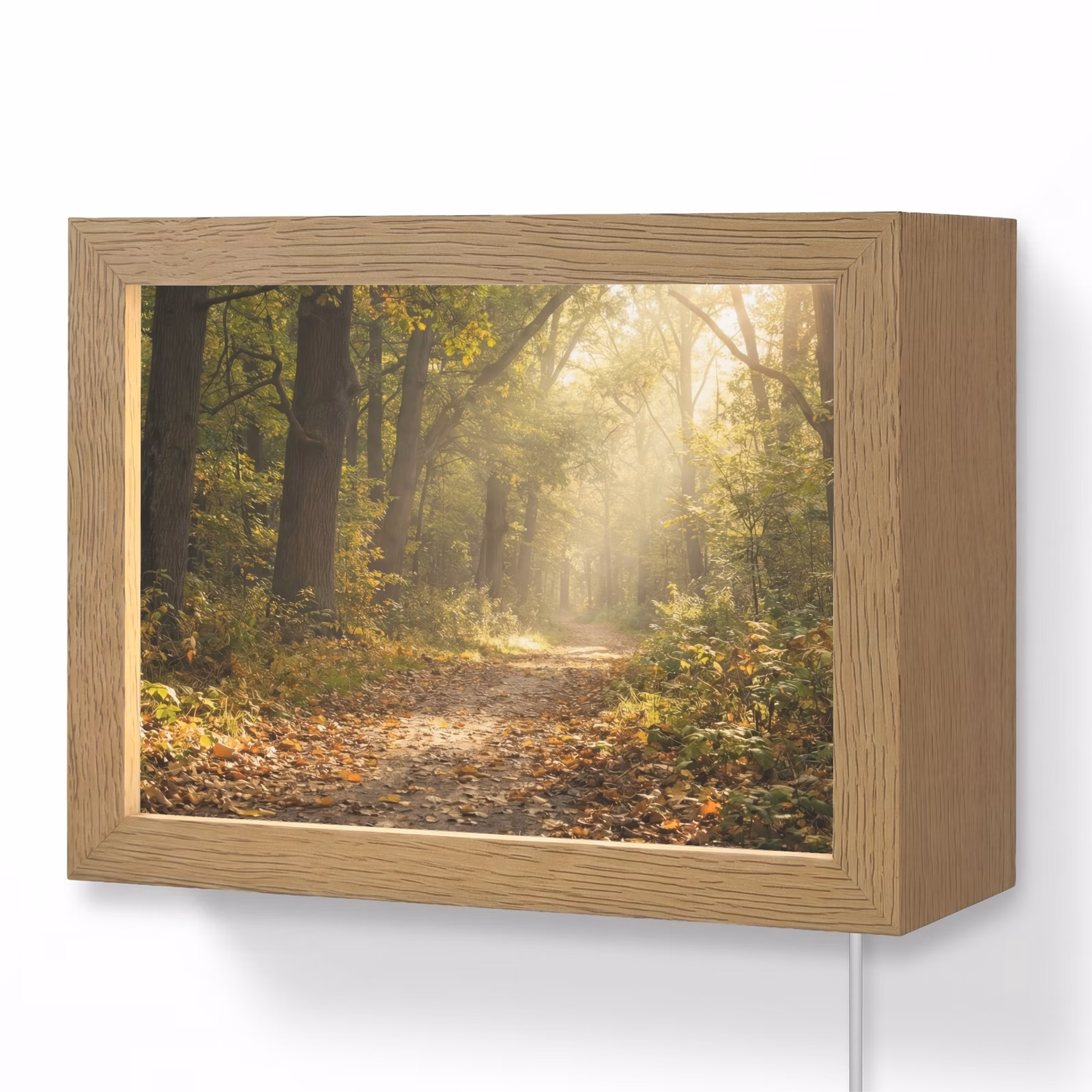 Lightbox - Wandlamp - Bospad in Herfst — 1