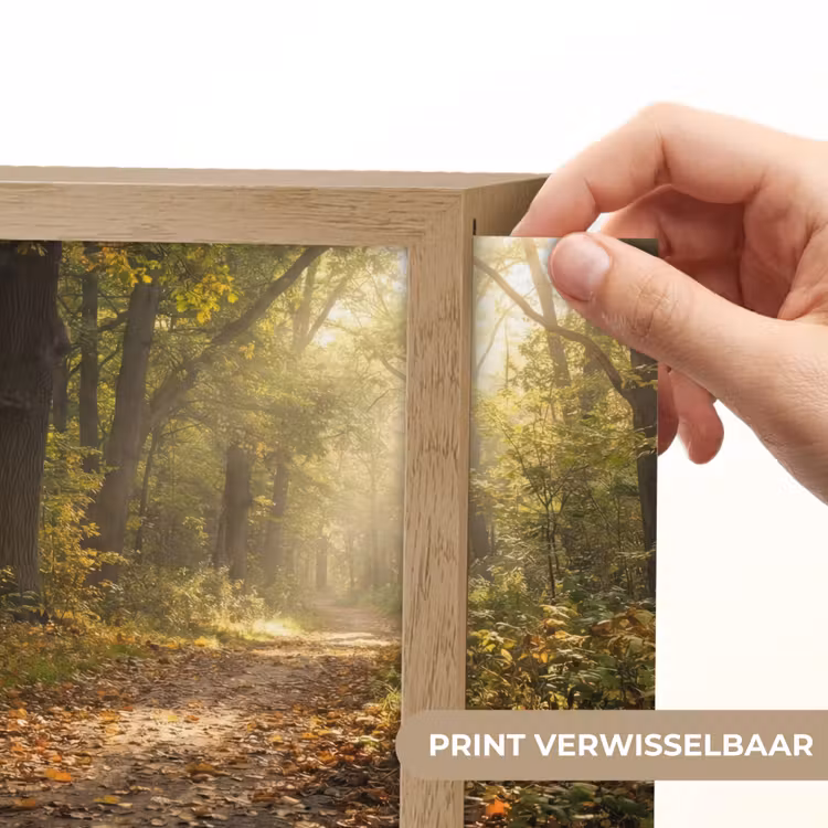 Lightbox - Wandlamp - Bospad in Herfst — 3