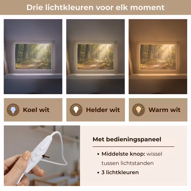 Lightbox - Wandlamp - Bospad in Herfst — 5
