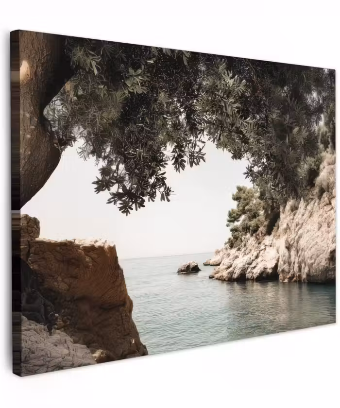 Canvas schilderij - Olijfboom Baai Rotsen