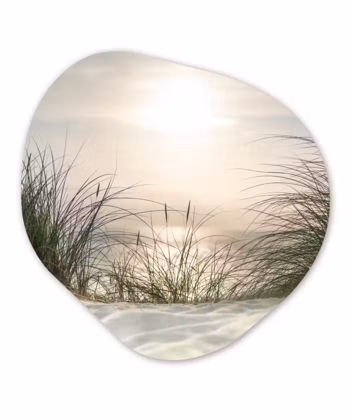 Organische Formen – Aluminium – Zand - Gras - Zon