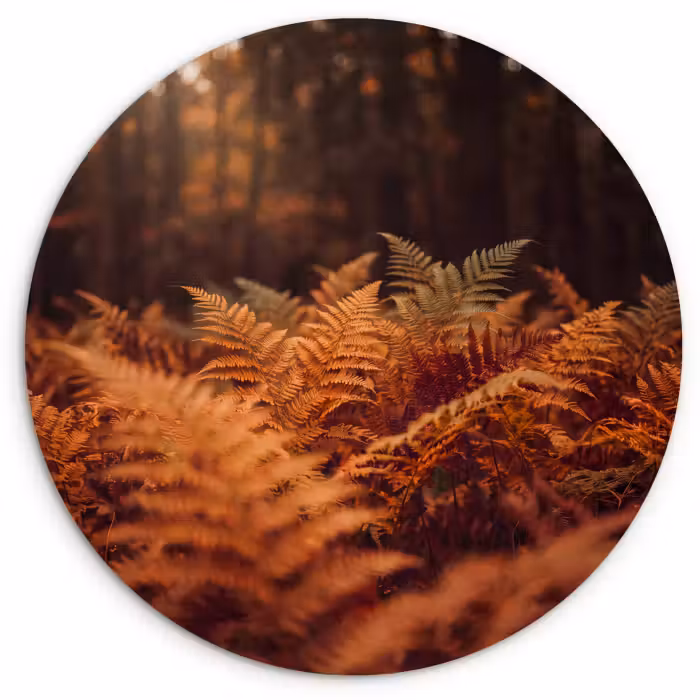 Wandcirkel - Glas - Planten - Herfst - Bos
