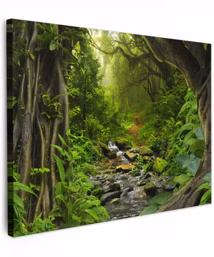Canvas schilderij - Natuur - Water - Jungle - Bos - Tropisch