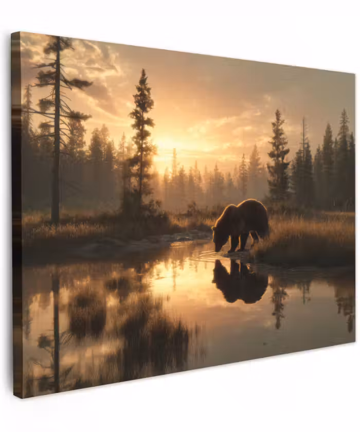 Canvas schilderij - Beer - water - Bos - Ochtendlicht