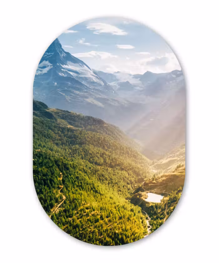 Muurovaal - Bergen - Planten - Landschap