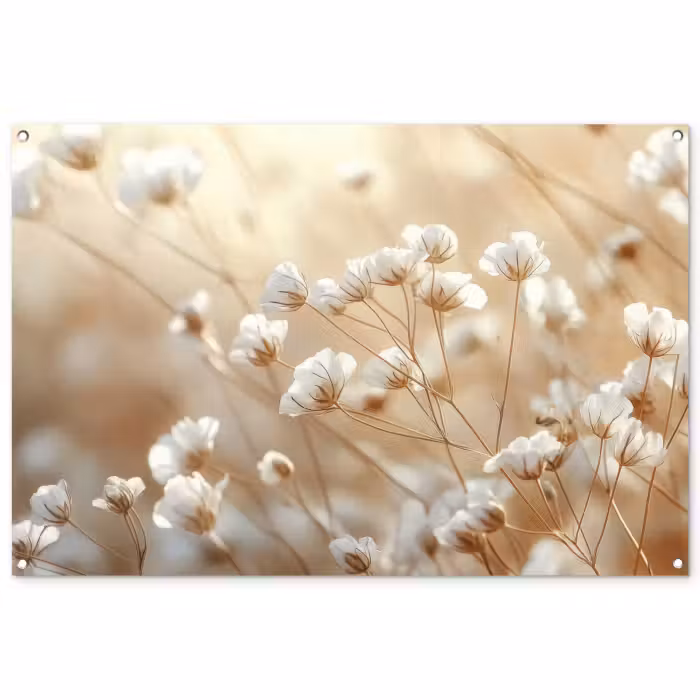 Tuinposter - Witte Bloemen Beige
