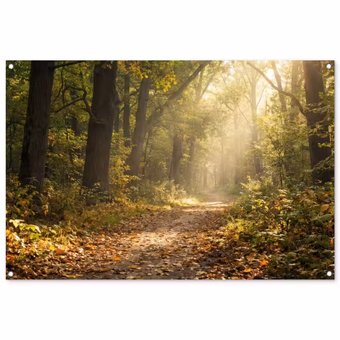 Tuinposter - Bospad in Herfst