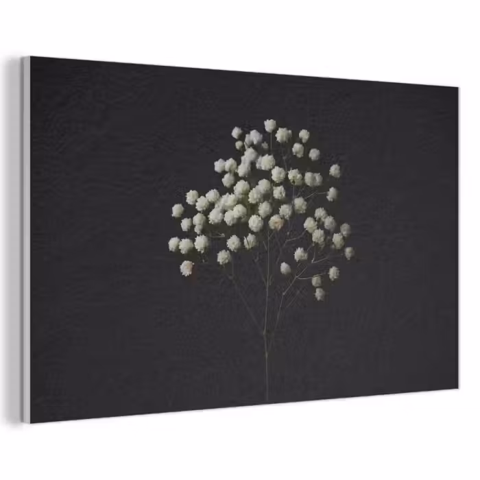 Akoestisch schilderij - Gipskruid - Bloemetjes - Wit - Minimalistisch
