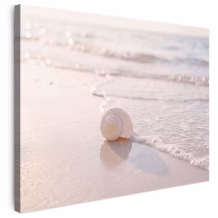 Canvas schilderij - Schelp op Strand