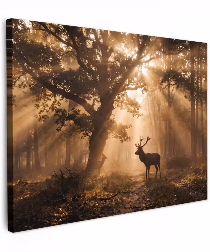 Canvas schilderij - Hert - Bos - Mistig - Natuur - Goud